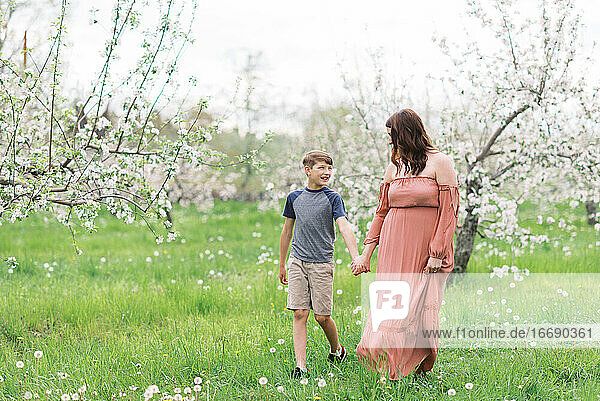 Eine Mutter mit ihrem Sohn in einer blühenden Apfelplantage in Neuengland
