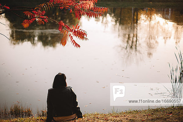 Rear view of young woman sitting by lake under a tree in autumn
