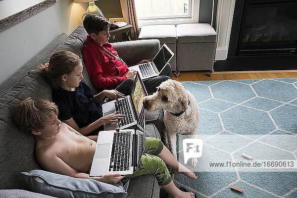 Familienhund übersieht Geschwister  die Laptops zum virtuellen Lernen nutzen
