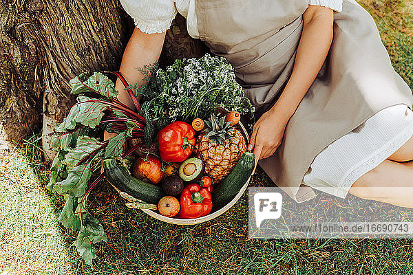 Hands of woman holding basket of vegetables while sitting under tree