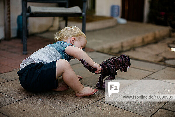 One Year Old Playing with Toy Dino in Yard in San Diego