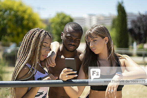 Junge Leute im Park  die ihr Smartphone benutzen
