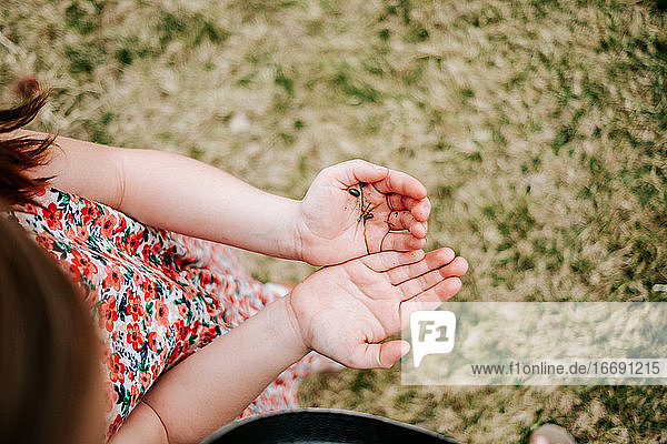 cropped image of young girl holding bugs in her hands