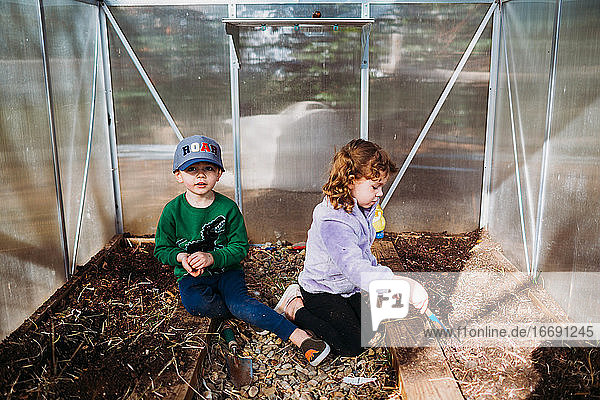 Junge Geschwister graben Pflanzen aus dem Gewächshaus im Hinterhof aus