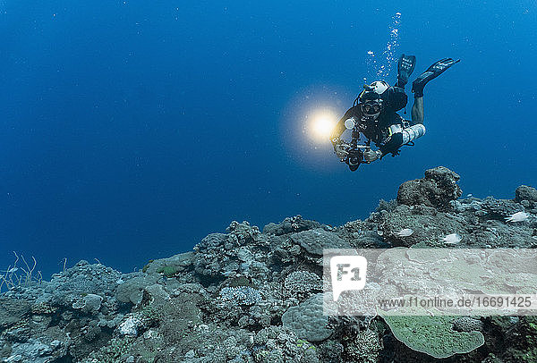 Unterwasserfotograf beim Abtauchen zu den Korallen auf dem Meeresboden