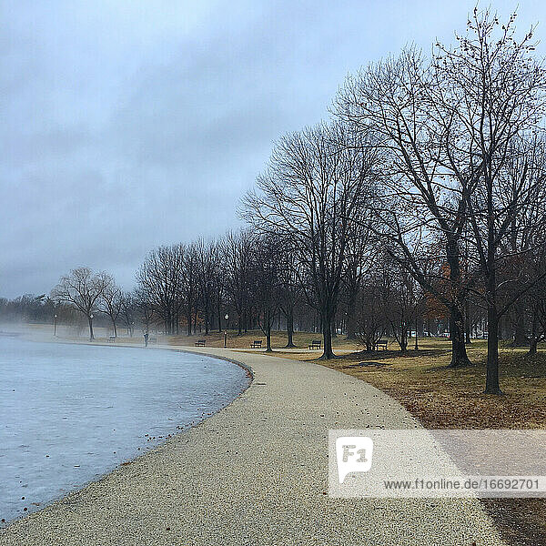 View of a foggy day in a park