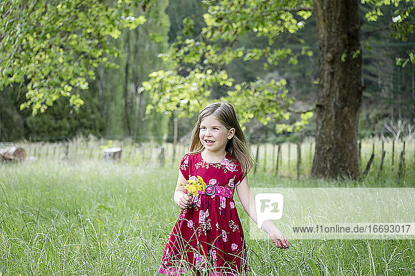Junges Mädchen geht durch langes grünes Gras und hält gelbe Blumen