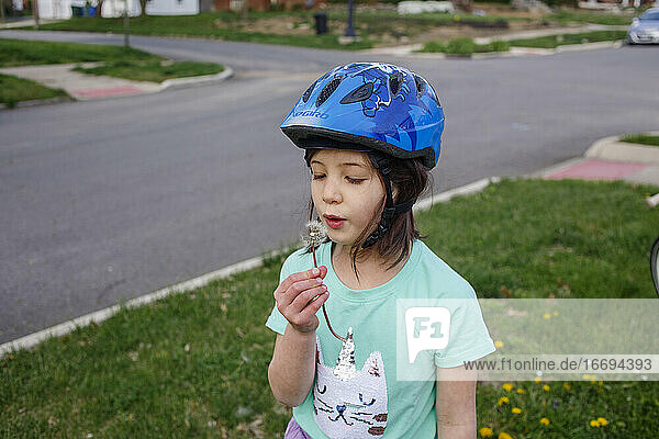 A little girl in a bike helmet blows the seeds of a dandelion flower
