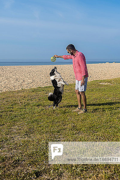 Bärtiger Mann spielt mit Hund am Strand in sonnigen Tag