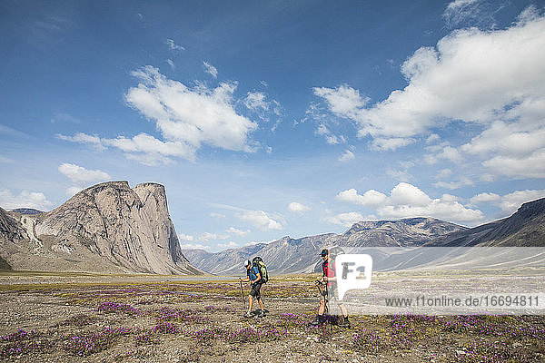 Two backpackers hiking through alpine meadow  Akshayak Pass