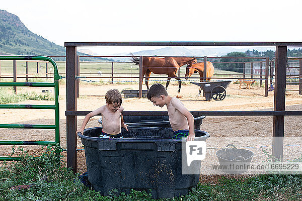 Gemeinsam spielende Kinder im Pferdewasserbehälter