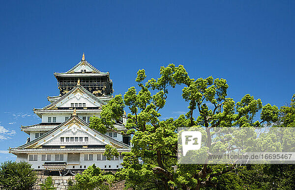 Schloss Osaka in Osaka im Sommer. Japan.