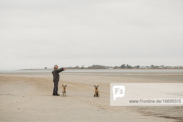 Älteres Paar mit zwei Hunden am Strand  die aus der Kamera zeigen