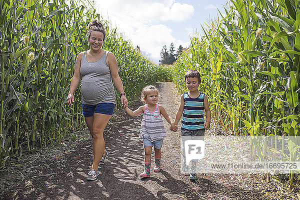Pregnant mother enjoying corn maze with her two children