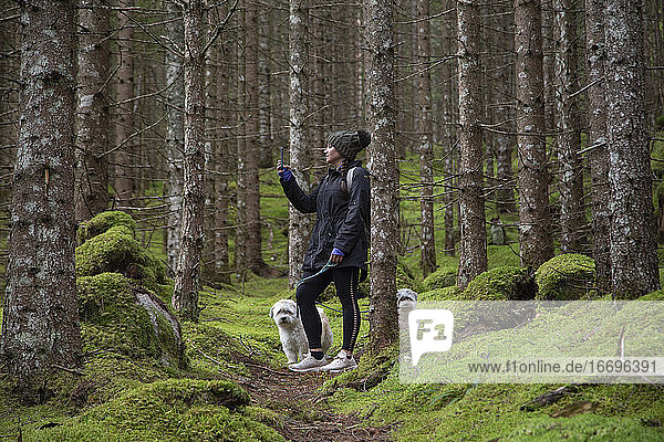 Eine junge Frau macht ein Handyfoto entlang eines Waldweges