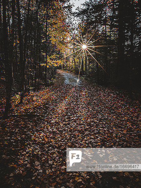 Friedliche Schotterstraße in den Wäldern von Maine an einem frischen Herbstmorgen