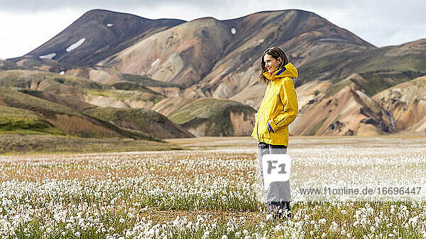Ein sonniger Tag bei der Erkundung wilder Wollgrasfelder im isländischen Hochland