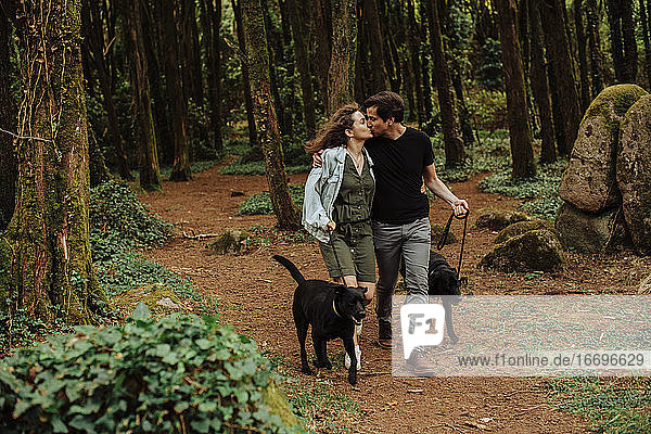 Paar küsst sich beim Spaziergang mit angeleinten Hunden auf einer Straße im Wald