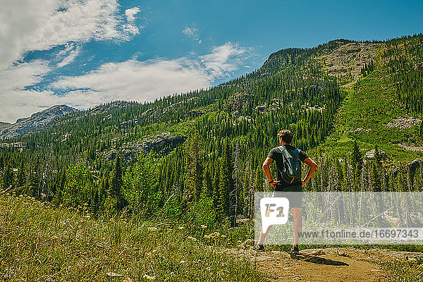Junger Mann beim Wandern auf dem Berg Aspen im Sommer in Colorado.