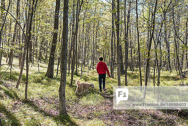 Teenage boy walking through the woods with his dog on a summer day.