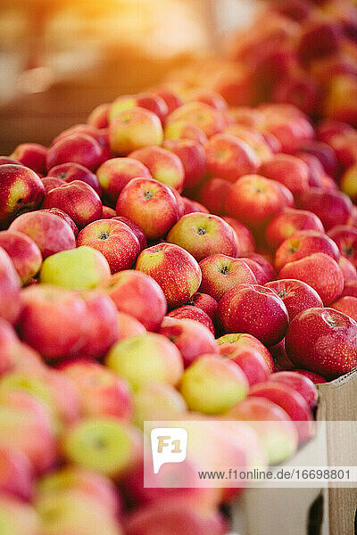 Frische Äpfel auf dem Farmers' Market