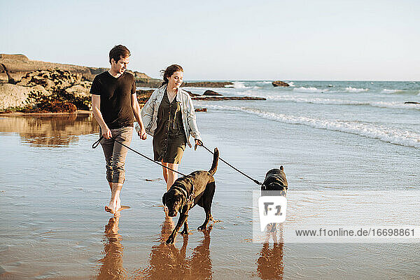 Paar mit zwei Hunden  die sich an den Händen halten  während sie mit Hunden am Strand spazieren gehen