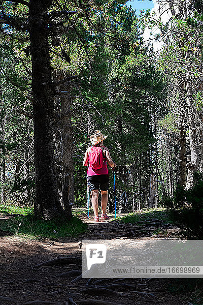 Wanderer Frau trägt Strohhut  Shorts und Rucksack auf dem Weg in einem Wald von Kiefern zu Fuß zwischen hohen Bäumen  während genießt die natürliche Umgebung um. Horizontales Foto.