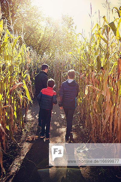 Vater und Kinder gehen an einem sonnigen Tag gemeinsam durch ein Maislabyrinth.