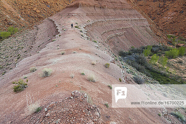 Erodierte Schichten der Chinle-Formation oberhalb des Escalante River  Utah