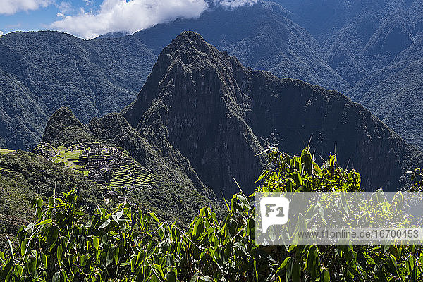 Erhöhte Ansicht der Inka-Ruinen  Machu Picchu  Cusco  Peru  Südamerika