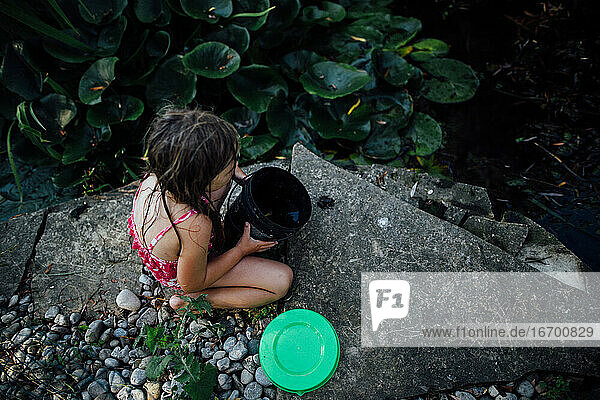 Kleines Mädchen fängt Frösche am Teich im Sommer