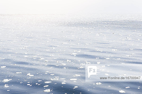 Schnee auf dem Meer in Neufundland  Kanada