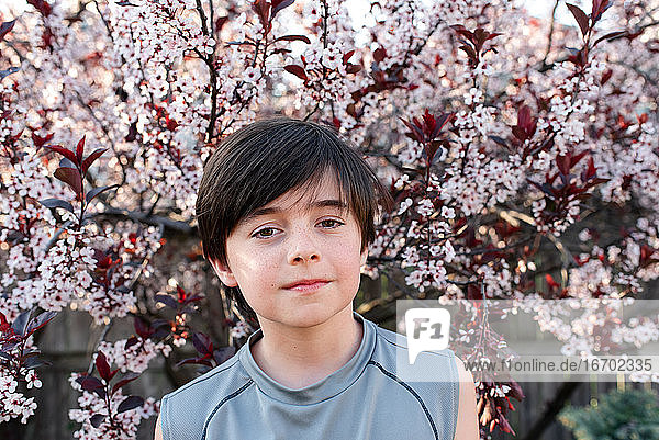 Portrait of serious young boy in front of flowering trees in a garden.