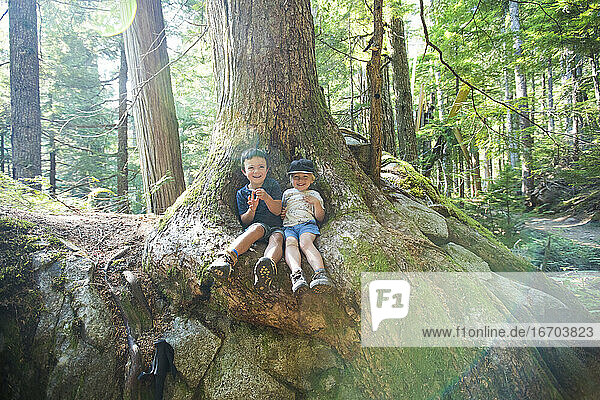 Two young explorers sit below old growth tree in natural forest.
