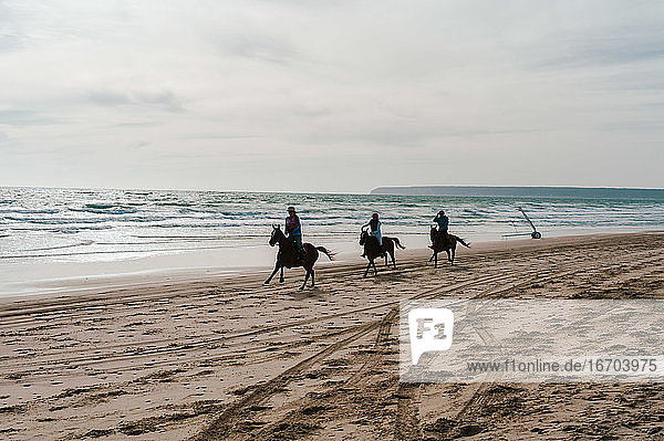 Andalusische Pferde mit Reitern am Strand in Spanien