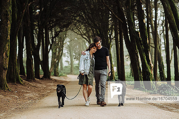 Paar  das sich umarmt  während es mit seinen Hunden an der Leine eine Straße im Wald entlang geht