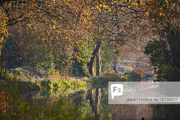der stille Basingstoke-Kanal im Herbst