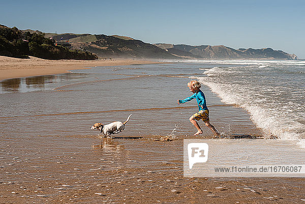 Happy young child playing with small dog at a beach in New Zealand