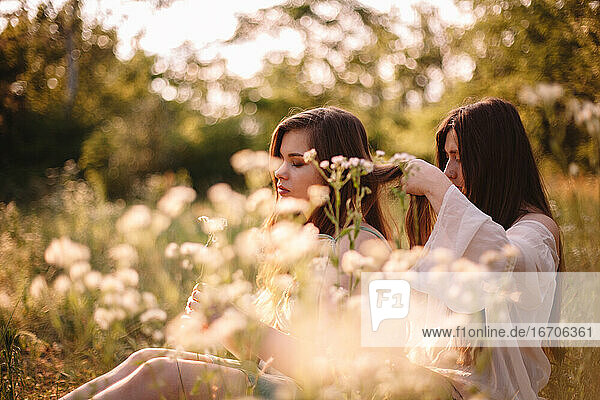 Junge Frau bindet ihrer Freundin die Haare  die auf einer Wiese inmitten von Blumen sitzt