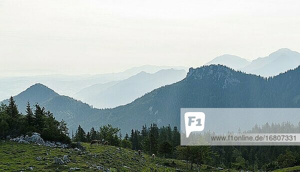 Blick über die Berge der Chiemgauer Alpen in Oberbayern. Europa  Deutschland  Bayern.