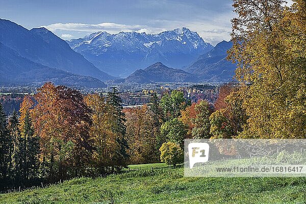 Herbstlandschaft über dem Murnauer Moos mit Zugspitzgruppe bei Hagen  Ortsteil von Murnau  Das Blaue Land  Oberbayern  Bayern  Deutschland  Europa