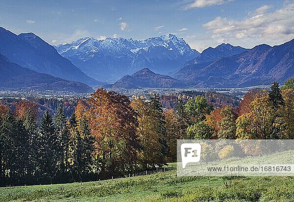 Herbstlandschaft über dem Murnauer Moos mit Zugspitzgruppe bei Hagen  Ortsteil von Murnau  Das Blaue Land  Oberbayern  Bayern  Deutschland  Europa