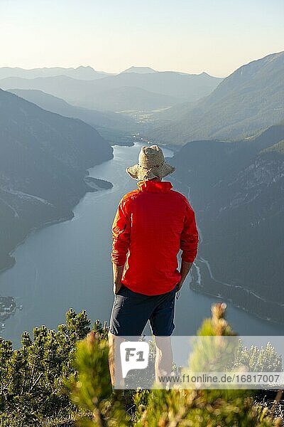 Young man looking over mountain landscape  mountain pines at the top of Bärenkopf  view of Achensee at sunset  on the left Seekarspitze and Seebergspitze  Karwendel  Tyrol  Austria  Europe