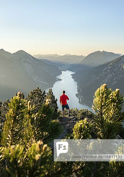 Mountaineer  young man looking over mountain landscape  mountain pines at the summit of the Bärenkopf  view of the Achensee at sunset  Karwendel  Tyrol  Austria  Europe