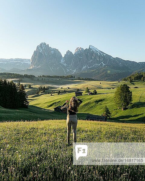 Woman standing on a meadow  in the back Sassolungo and Plattkofel  Alpe di Siusi  South Tyrol  Italy  Europe