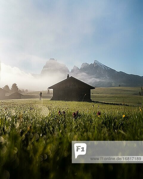 Woman looking on foggy meadow next to hut  behind Sassolungo and Plattkofel  morning light  Seiser Alm  South Tyrol  Italy  Europe