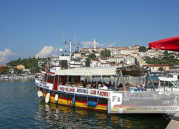Excursion boat with tourists in the port  Adriatic coast  Vrsar  Istria  Croatia  Europe