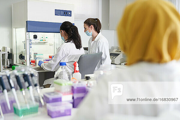 Wissenschaftlerinnen bei der Arbeit am Abzug im Labor