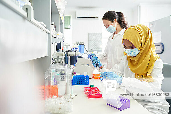 Wissenschaftlerinnen mit Gesichtsmasken und Hijab bei der Arbeit im Labor