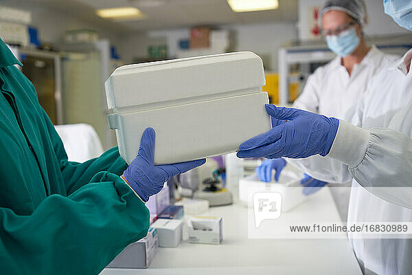 Wissenschaftler in Gummihandschuhen beim Passieren eines Probenkühlers im Labor